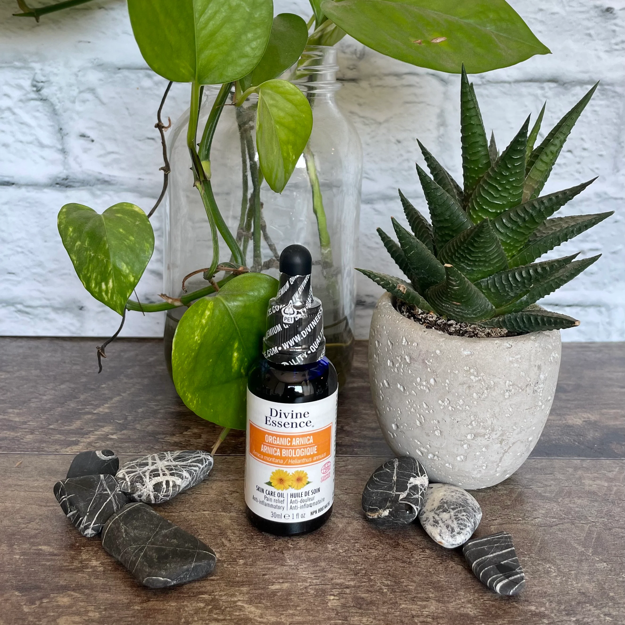 Huile d'Arnica biologique