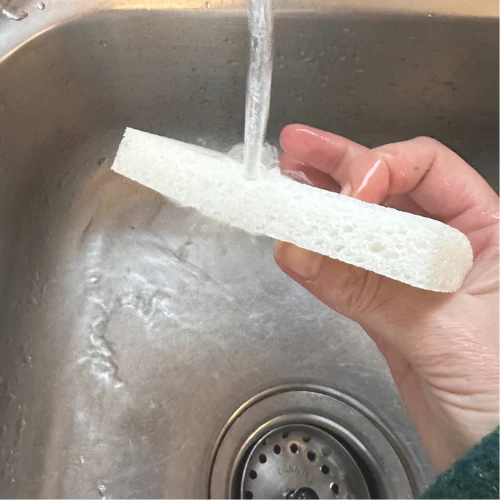 Éponge auto-gonflante en cellulose biodégradable