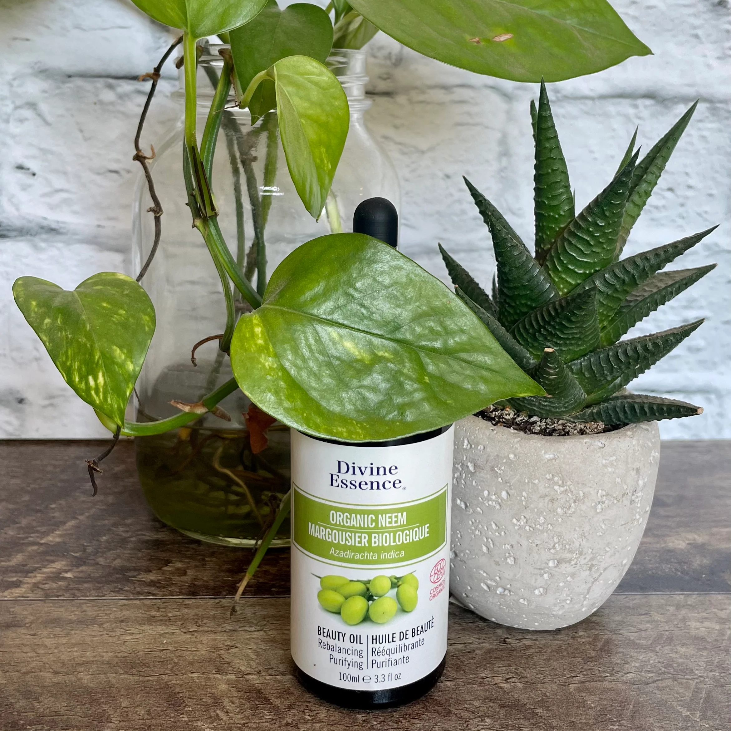 Huile de margousier biologique (Neem)
