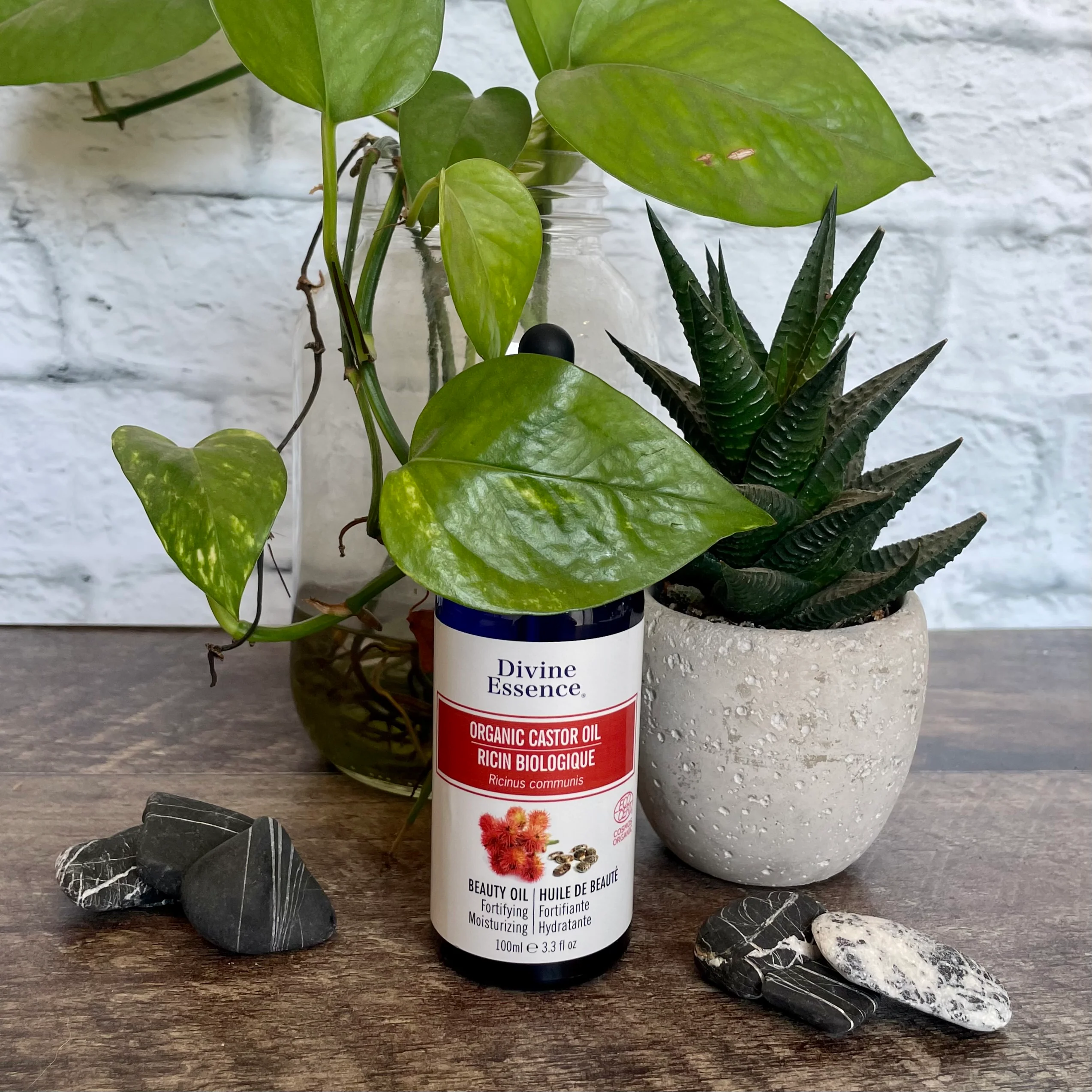 Huile de ricin biologique (Castor oil) - (Palma Christi) sans hexane