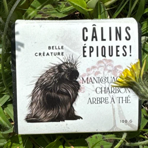 Savon au charbon activé: Peau atopique et sensible (Câlin épique)