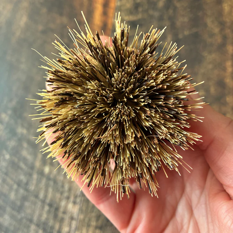 Tête de remplacement pour brosse en bois à vaisselle sans plastique - Image 7