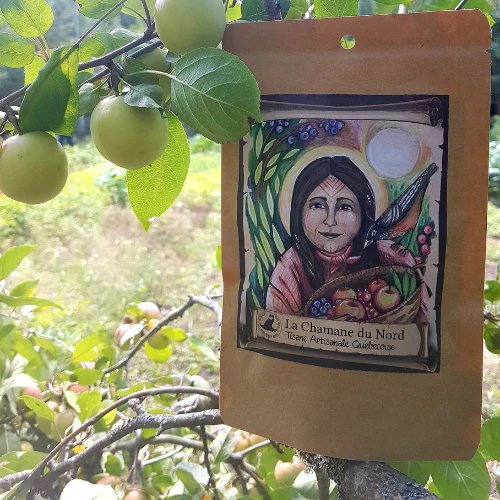 Tisane artisanale d'ici - Image 6
